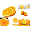 excelentes dulces frutas frescas de naranja